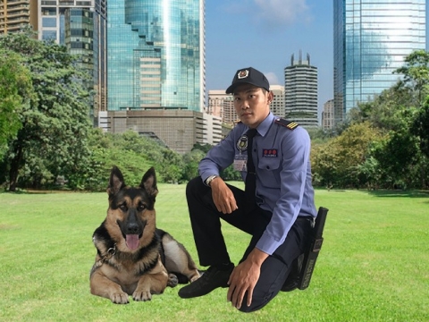 Bảo vệ Biệt Thự