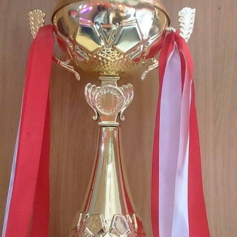 Chứng Nhận 4