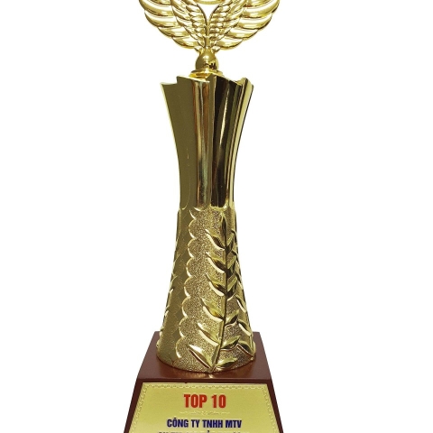 Chứng Nhận 6